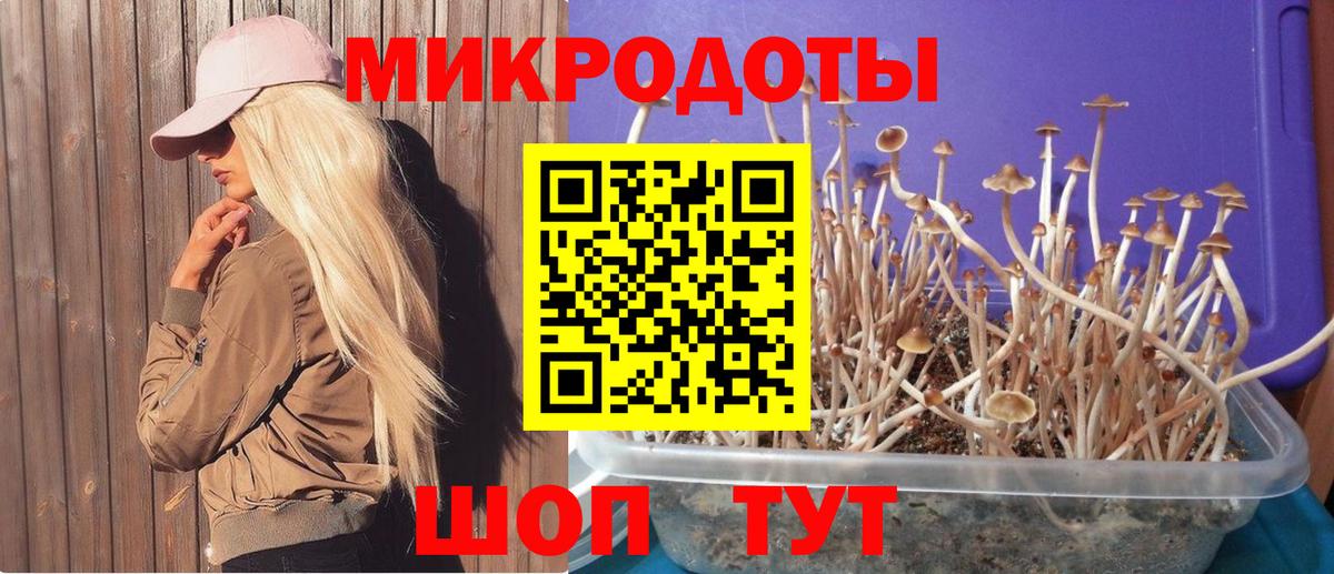 Белая Калитва  Галлюциногенные грибы GOLDEN TEACHER  Вход с VPN 