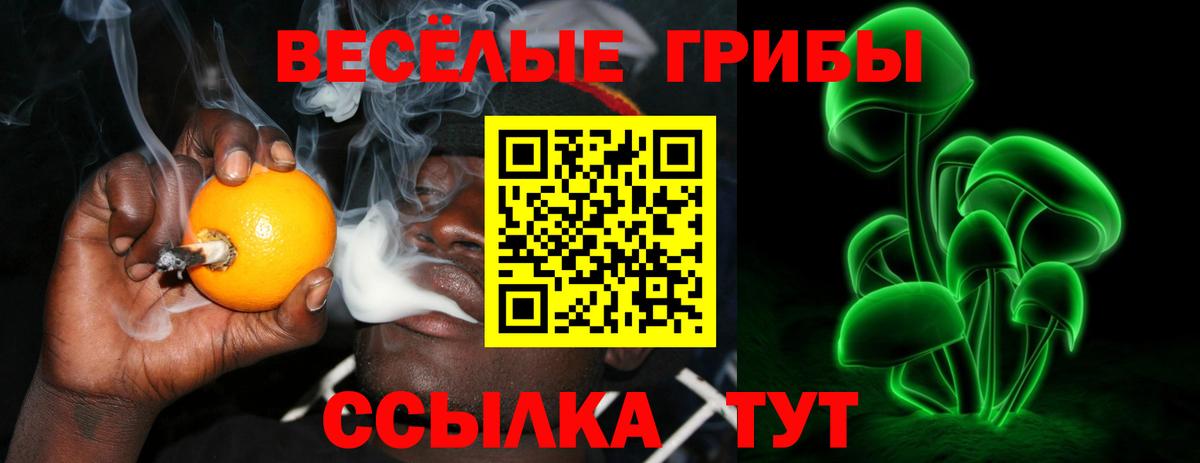 Галлюциногенные грибы ЛСД Белая Калитва